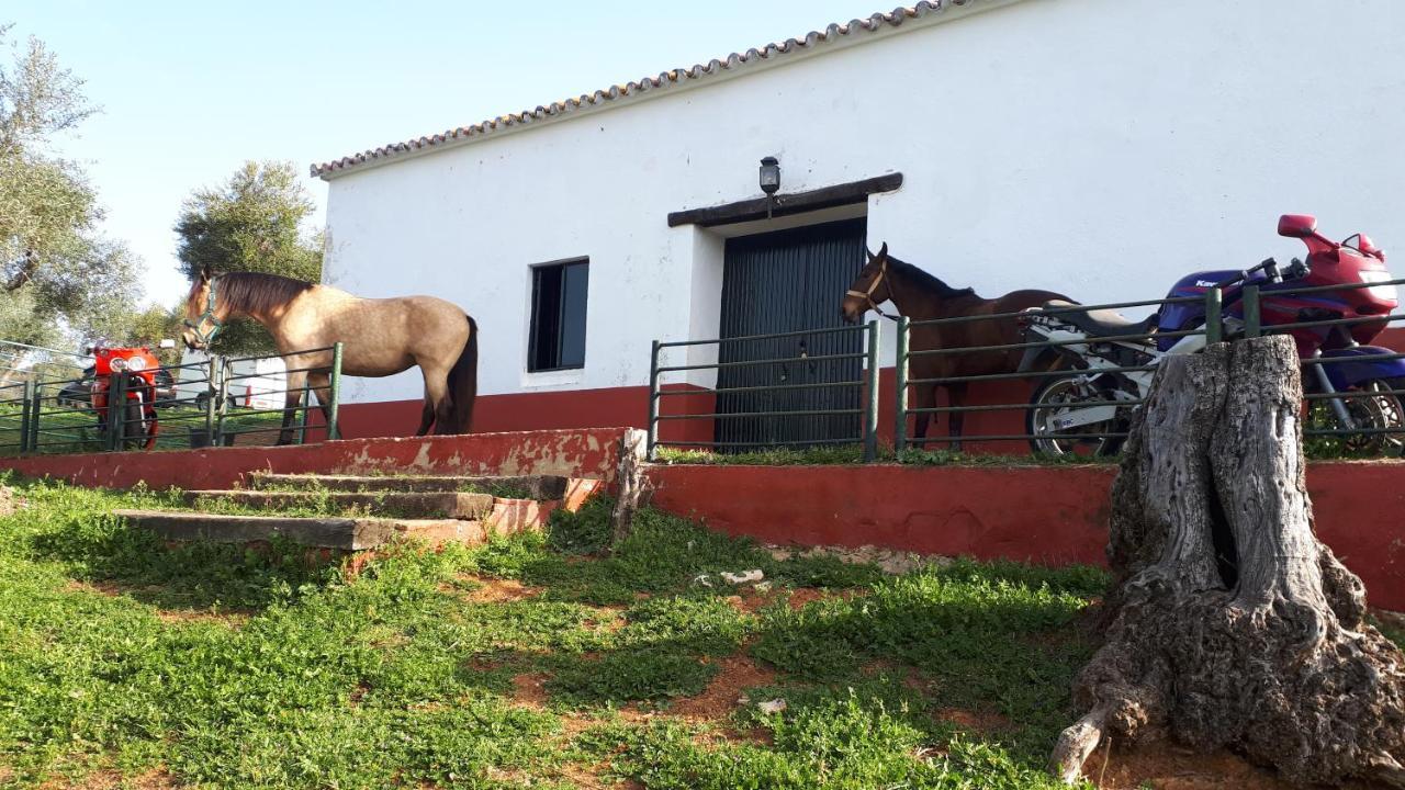 Finca La Carnicera Constantina Exterior photo